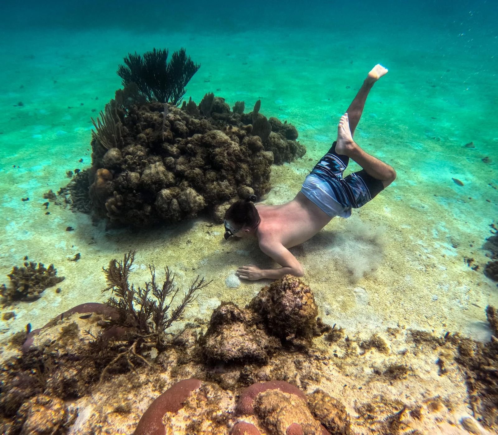 City Tour & Snorkel